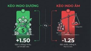 tim-hieu-ve-ty-le-keo-indo-trong-bong-da